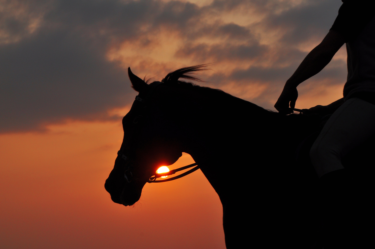 Sunset on horseback